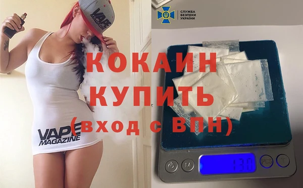 гашик Сатка