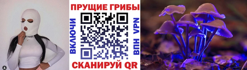 где продают   Саянск  Галлюциногенные грибы прущие грибы 