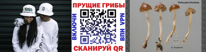 Галлюциногенные грибы GOLDEN TEACHER Саянск